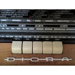 Napis logo Diora