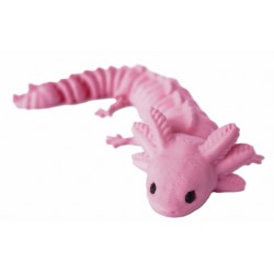 segmentowany aksolotl
