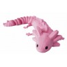 segmentowany aksolotl