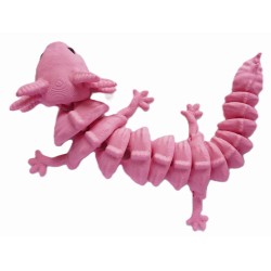 segmentowany aksolotl