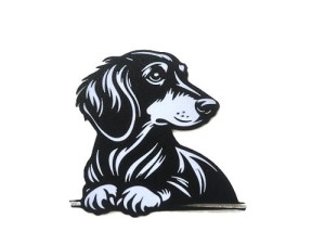 Czarno biały pies - Jamnik